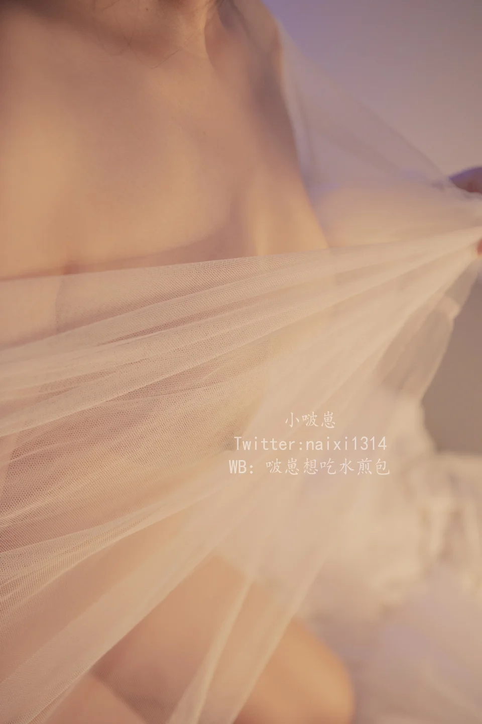 狍崽饭 - No.003 朦胧白 [46P-131MB] tg@simisebaisi 【丝足阁】008.webp